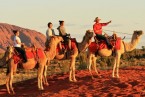 Camel Ride in Rajasthan Tour